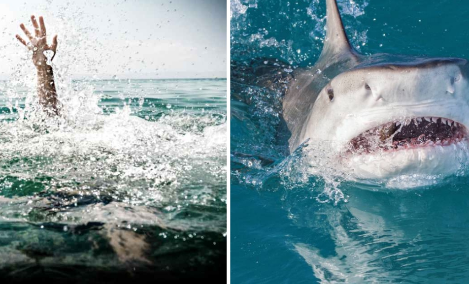 Tiburones dejan graves heridas a bañistas en Brasil