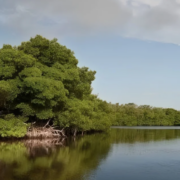 La isla más "maldita" de Campeche, relatos locales y mitos