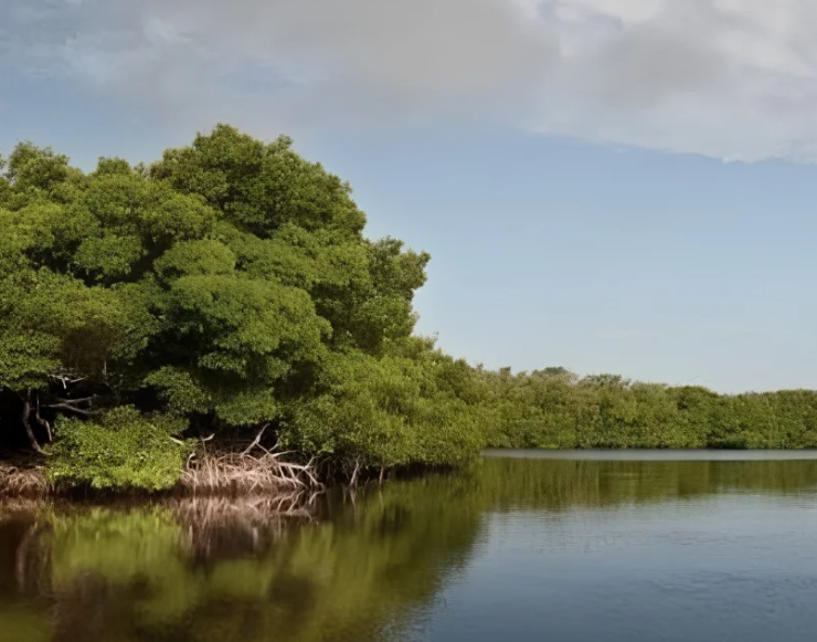 La isla más "maldita" de Campeche, relatos locales y mitos