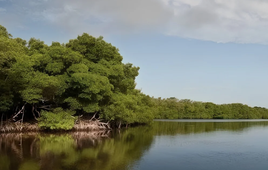 La isla más "maldita" de Campeche, relatos locales y mitos