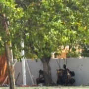 ¿Parques o refugios para indigentes? Alarmante crisis en Campeche