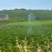 Campeche desea producir más con menos agua, revela inversión