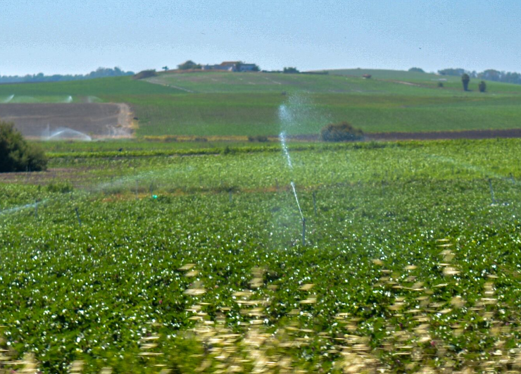 Campeche desea producir más con menos agua, revela inversión