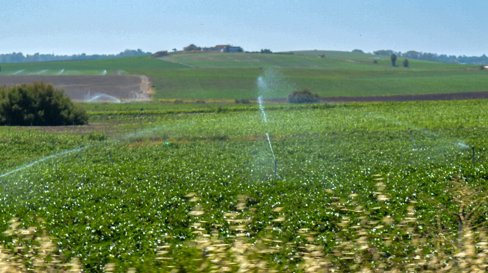 Campeche desea producir más con menos agua, revela inversión