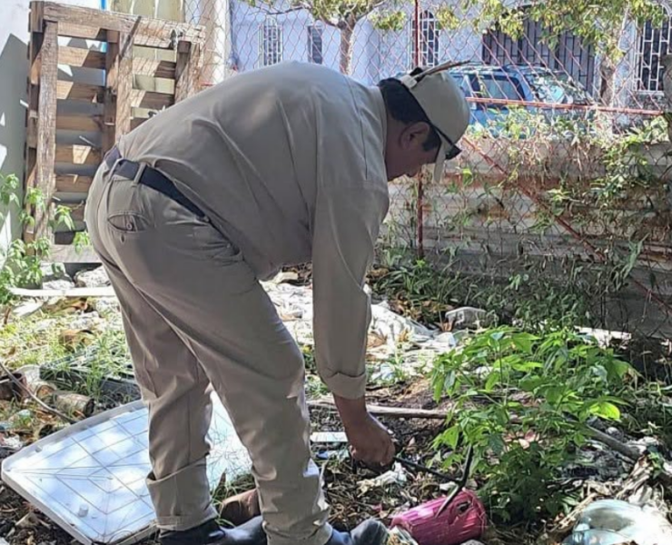 Autoridades intentan frenar el dengue en Campeche: alerta viral