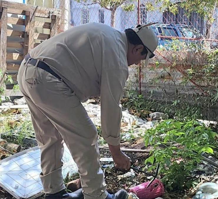 Autoridades intentan frenar el dengue en Campeche: alerta viral
