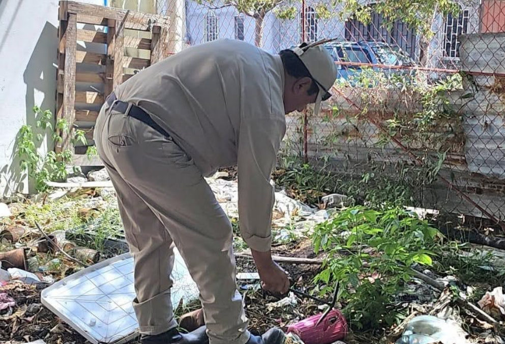 Autoridades intentan frenar el dengue en Campeche: alerta viral