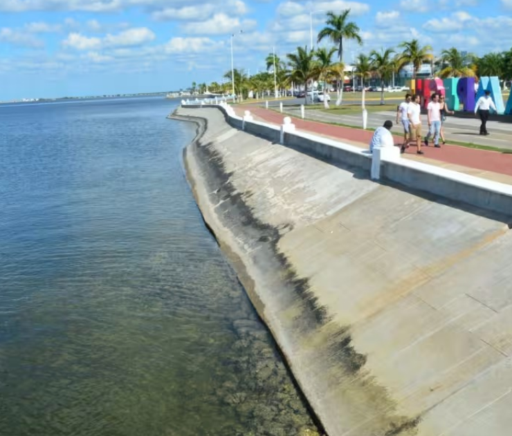 ¡Alerta en Campeche: plantas residuales contaminan la bahía sin control!