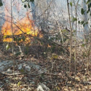 Incendios forestales en Campeche alarma extrema