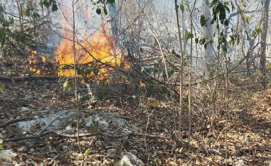 Incendios forestales en Campeche alarma extrema