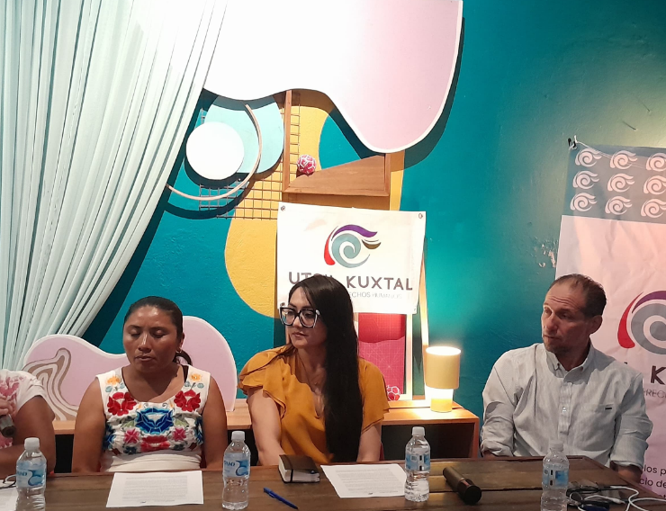 Exigen a la SCJN protección inmediata a cenotes y abejas impacta Campeche