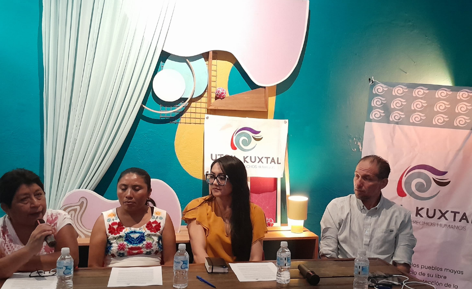 Exigen a la SCJN protección inmediata a cenotes y abejas impacta Campeche