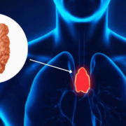 ¿El timo nos protege contra el cáncer? El órgano "inútil" ya tiene uso
