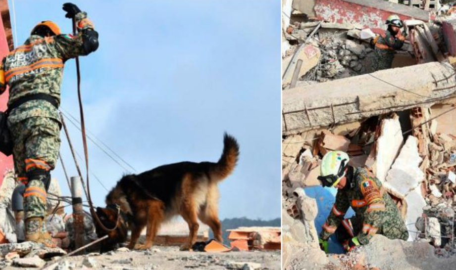 Los topos mexicanos rescatan a sobreviviente y 20 cuerpos