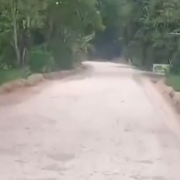 Inicia reconstrucción de la carretera Palizada–Ribera San Eduardo en Campeche