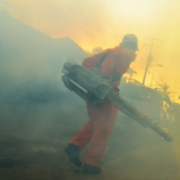 Limitan fumigaciones en municipios de Campeche: alarma crece