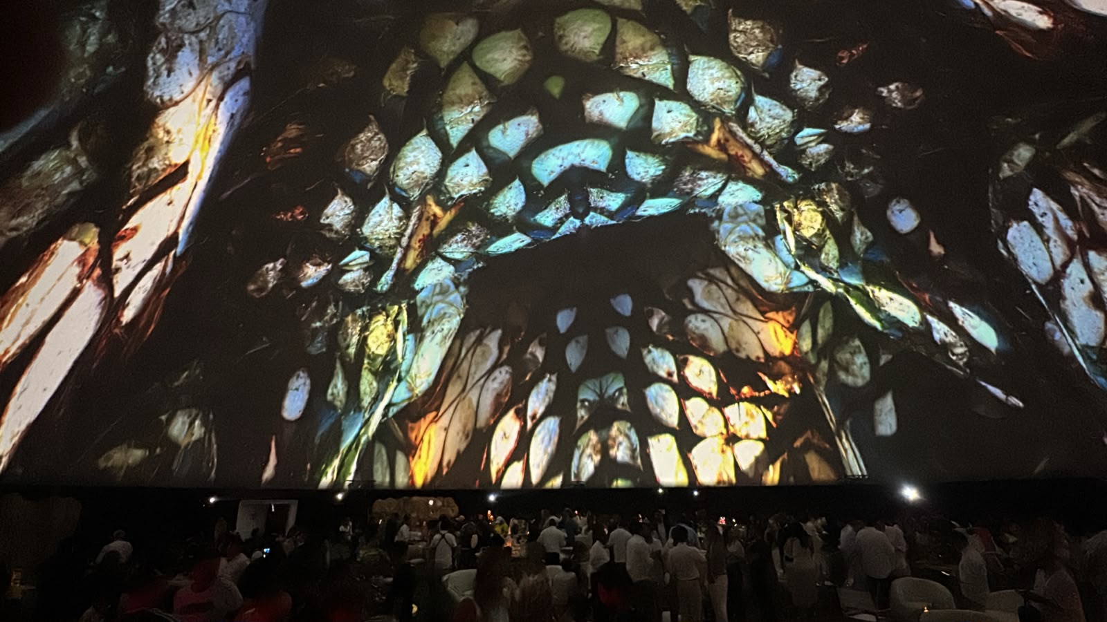 Domósfera en el Fan Fest de Puerto Vallarta