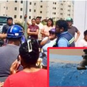 Falta de agua desata protesta vecinal en las Viviendas del Bienestar de Playa del Carmen