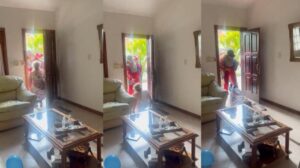 El Reto viral “Panita Fest” continúa generando preocupación en redes sociales, luego de que en casos recientes se registraran llegadas masivas de repartidores y servicios a domicilios por pedidos falsos difundidos en TikTok y Telegram.