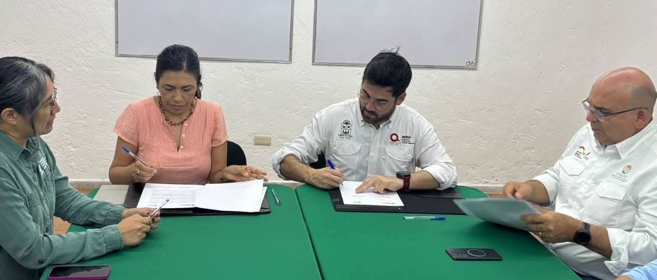 Quintana Roo blinda sus arrecifes con un seguro que protegerá Puerto Morelos y Cozumel