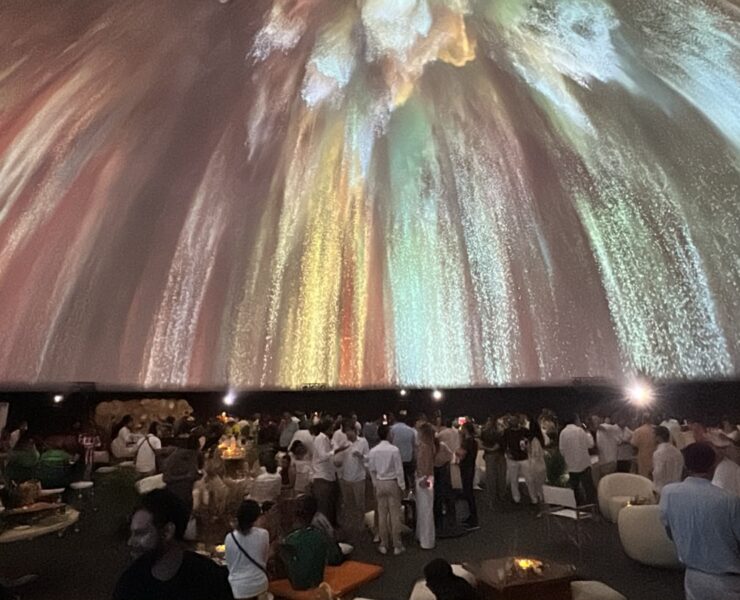 Tiene Vallarta Domósfera de primer mundo