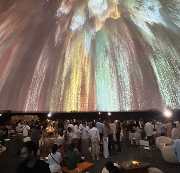 Tiene Vallarta Domósfera de primer mundo