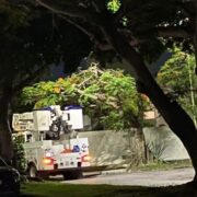 Denuncia ciudadana: Camión CFE provoca cables caídos en Col. Nueva Alemán