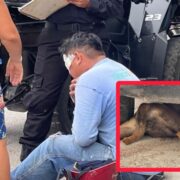 ¡Nadie lo vio venir! Un perro provoca fuerte accidente de motocicleta en Tizimín