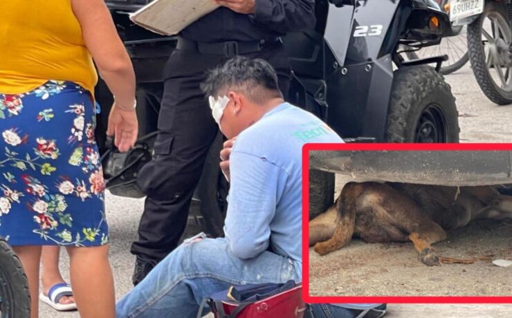 ¡Nadie lo vio venir! Un perro provoca fuerte accidente de motocicleta en Tizimín