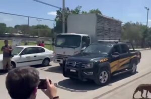 Habitantes de la comisaría de Molas realizaron una protesta para manifestar su inconformidad por el constante paso de camiones que trasladan cerdos