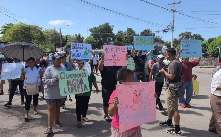Camiones de Cerdos Desatan Fuerte Protesta Vecinal en Molas por Riesgos Ambientales