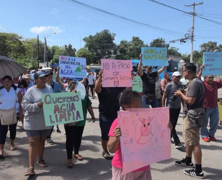 Camiones de Cerdos Desatan Fuerte Protesta Vecinal en Molas por Riesgos Ambientales