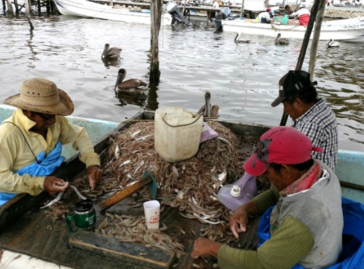 Pescadores de Campeche irán a huelga por crisis petrolera