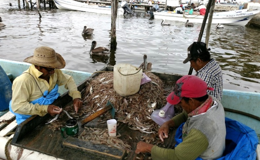 Pescadores de Campeche irán a huelga por crisis petrolera