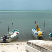 SEMARNAT dice que no hay hidrocarburos en Campeche: informe oficial genera debate