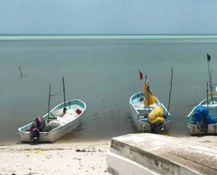 SEMARNAT dice que no hay hidrocarburos en Campeche: informe oficial genera debate