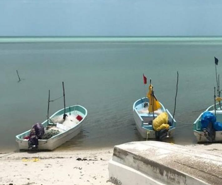 SEMARNAT dice que no hay hidrocarburos en Campeche: informe oficial genera debate