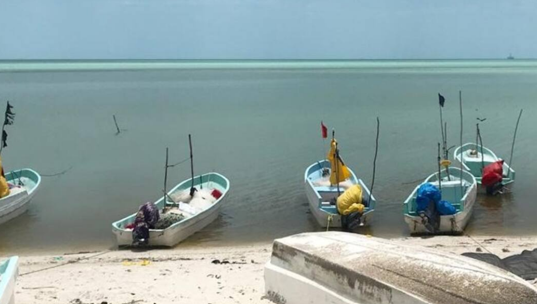 SEMARNAT dice que no hay hidrocarburos en Campeche: informe oficial genera debate