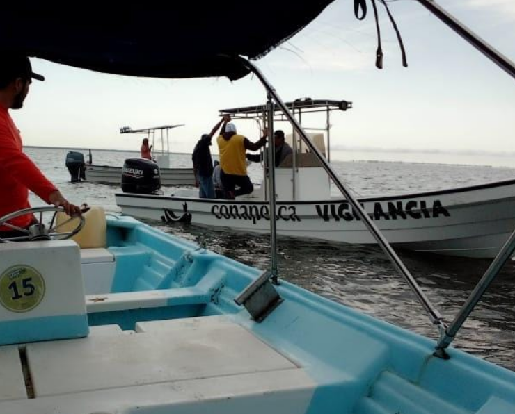CONAPESCA intensifica operativos: Campeche revela vigilancia histórica
