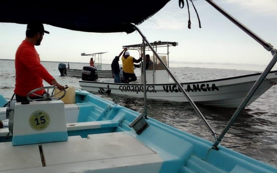 CONAPESCA intensifica operativos: Campeche revela vigilancia histórica