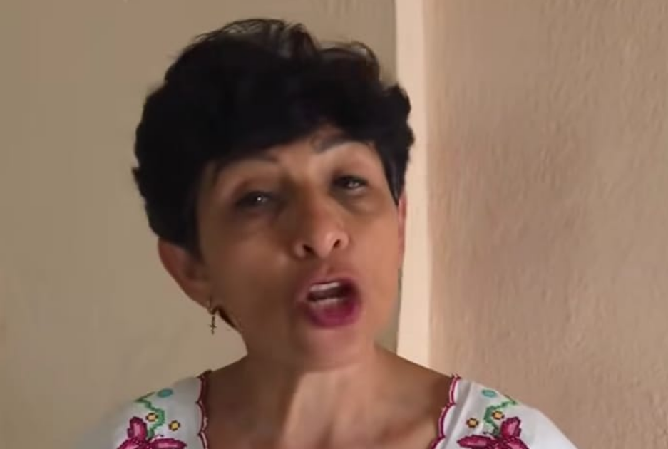 La diputada federal explica sus motivos rumbo al proceso interno