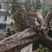 Tormenta azota de nuevo al suroriente de la CDMX