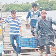 Pescadores atraviesan crisis: Campeche pide ayuda