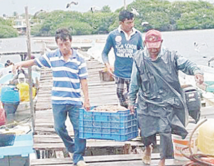 Pescadores atraviesan crisis: Campeche pide ayuda