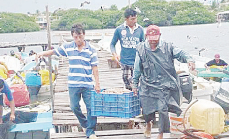 Pescadores atraviesan crisis: Campeche pide ayuda