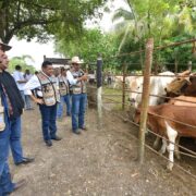 Con Crédito Ganadero a la Palabra se transforma la vida de pequeños productores