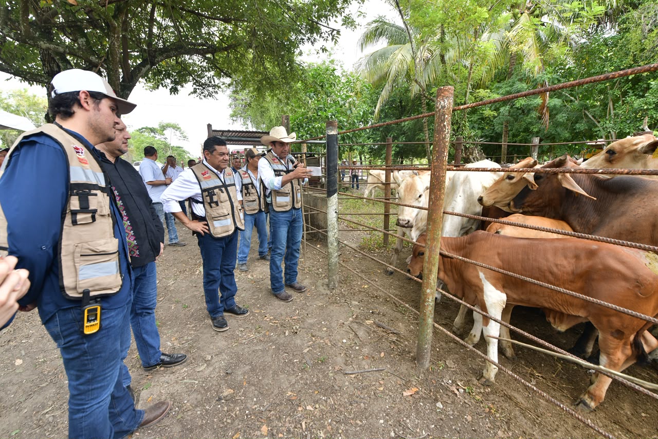 Con Crédito Ganadero a la Palabra se transforma la vida de pequeños productores