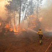 Incendios históricos arrasan España y Francia