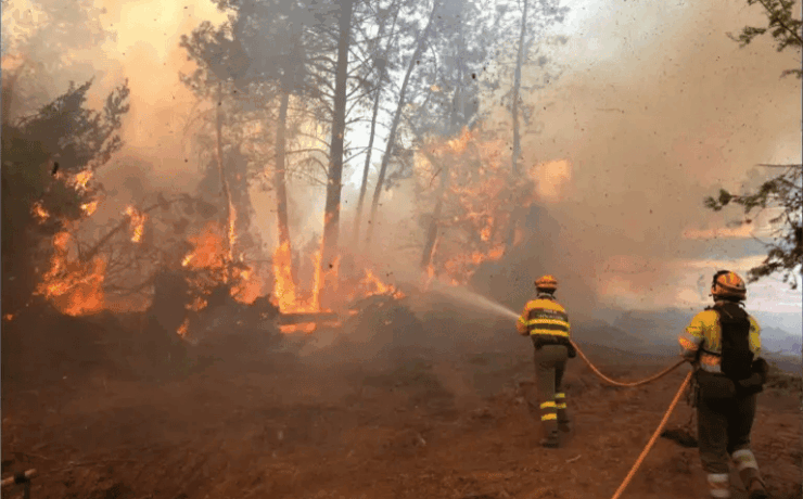Incendios históricos arrasan España y Francia