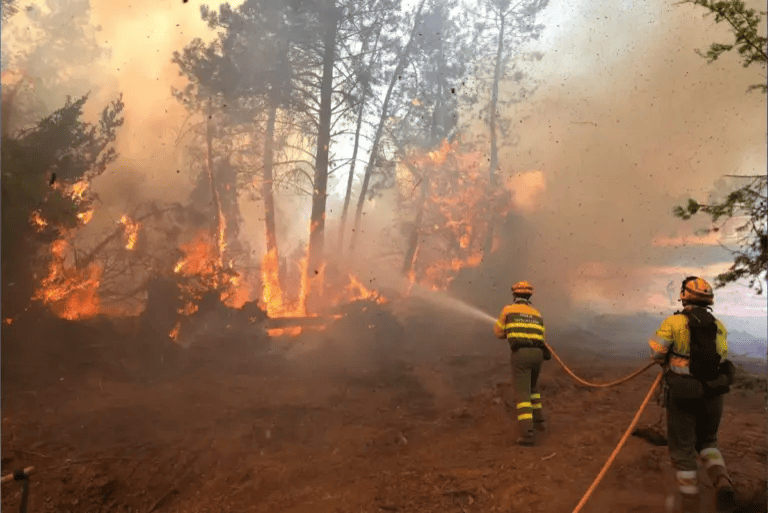 Incendios históricos arrasan España y Francia